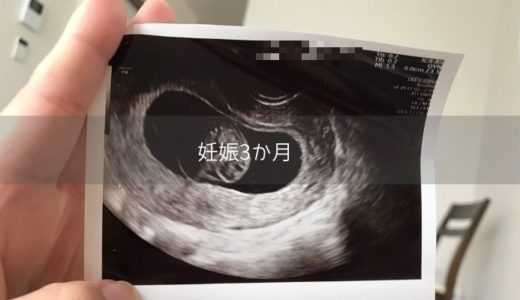 【妊娠3か月】胎児エコー画像やつわりの状況・その他の症状は【8～11週】