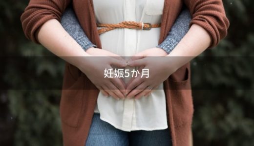 妊娠初期 つわりに効いた食べ物はコレ 私が食べれたものリスト 体験談 さおっとらいふ