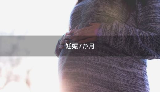 【妊娠7か月】胎児のエコー画像や妊婦健診の内容、胎動や症状の変化